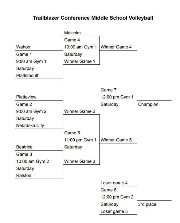 conference volleyball