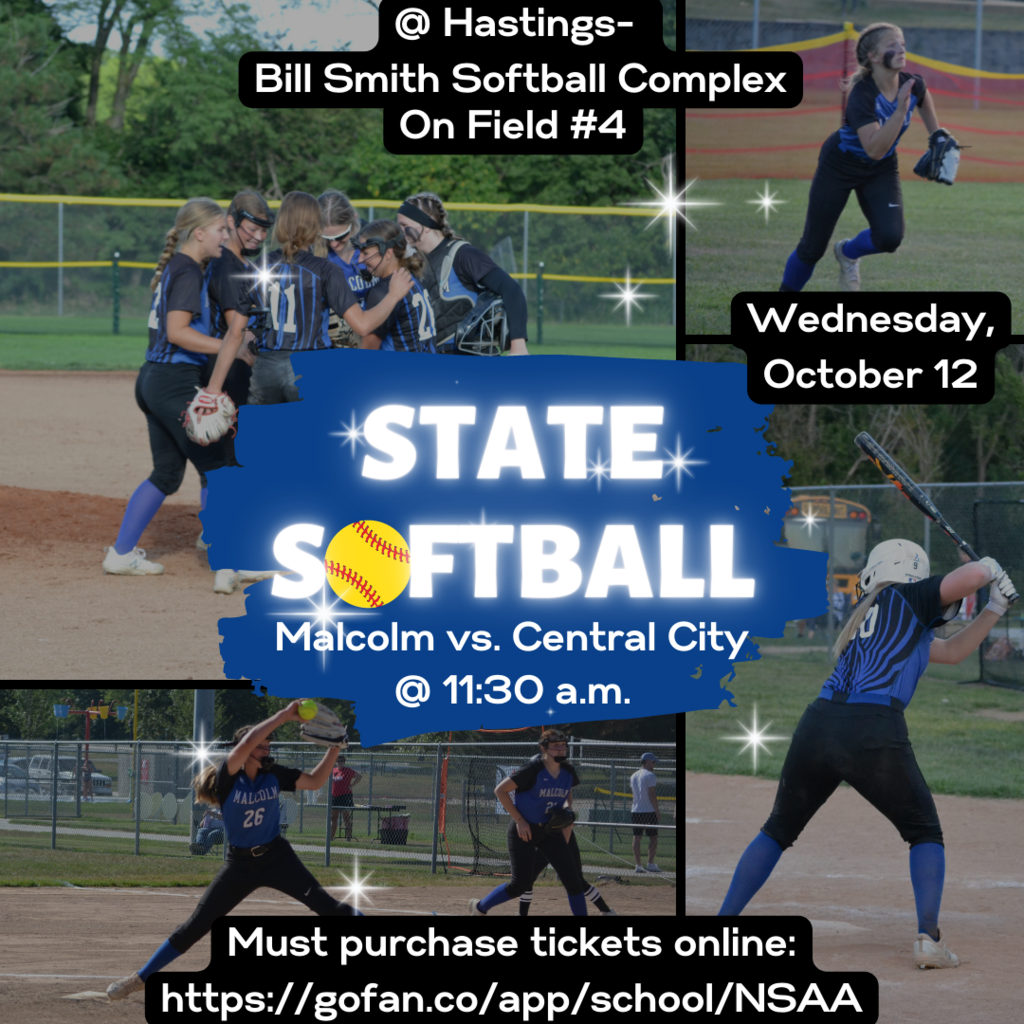 State Softball
